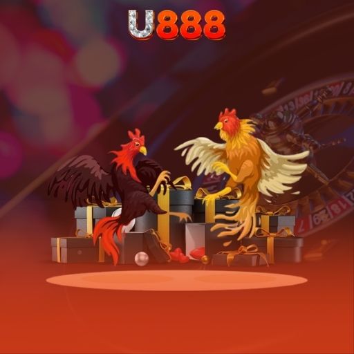 U888 – Trang Chủ Chính Thức | Tặng +888K Khi Tham Gia 14 đá gà u888